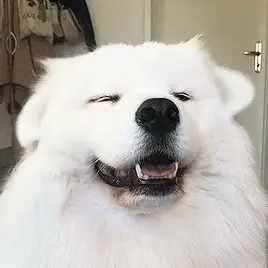 斗图必备表情包i哦哟了不起了不起