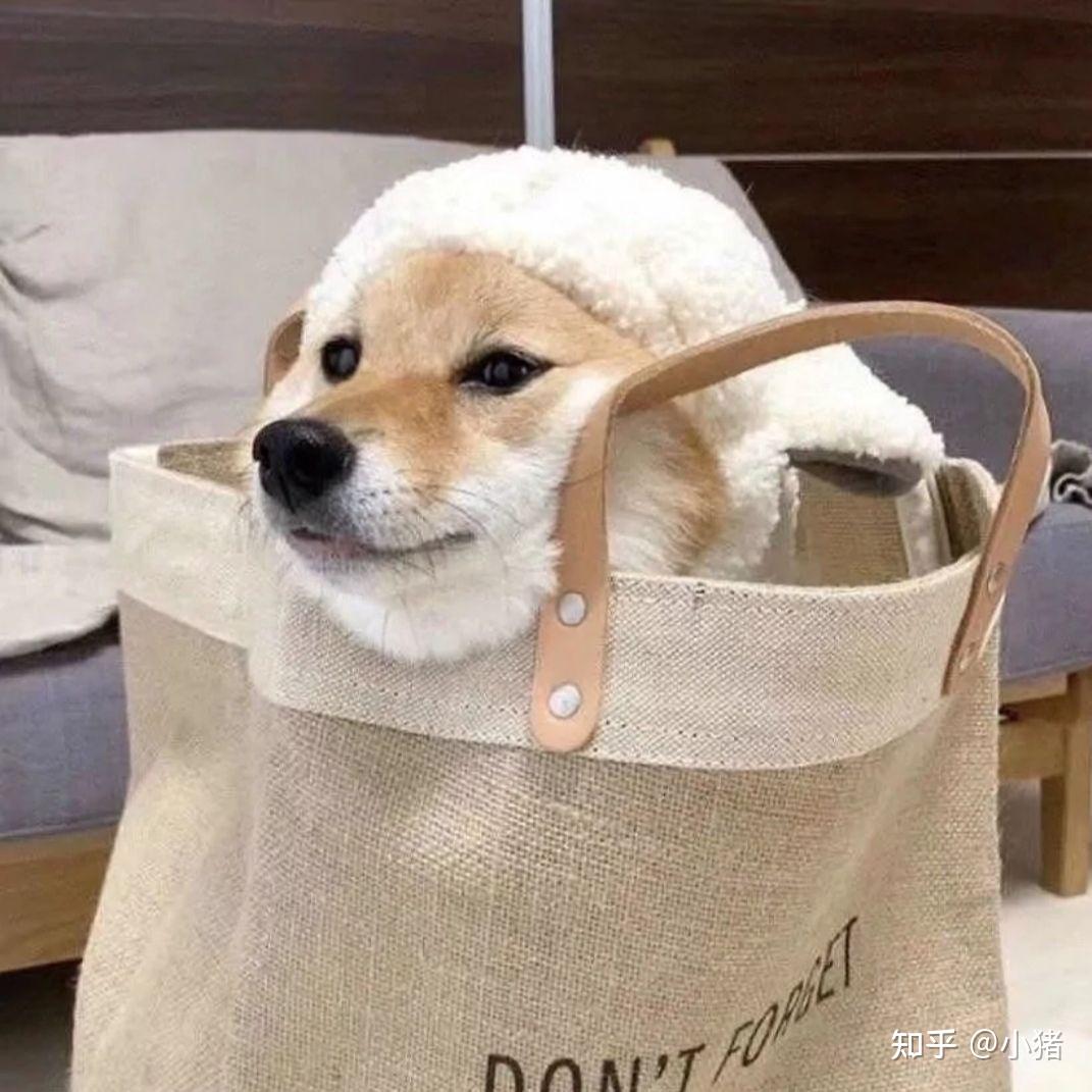 逗比沙雕头像大全(100张)_搞笑头像 - 知乎