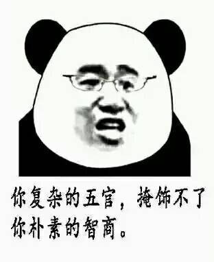 你复杂的五官,掩饰不了你朴素的智商.