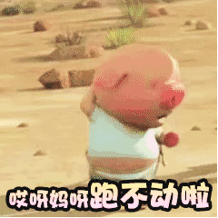 唉呀妈呀 我小猪跑不动啦 - 最新版「小猪快跑」表情包 67_小猪快跑