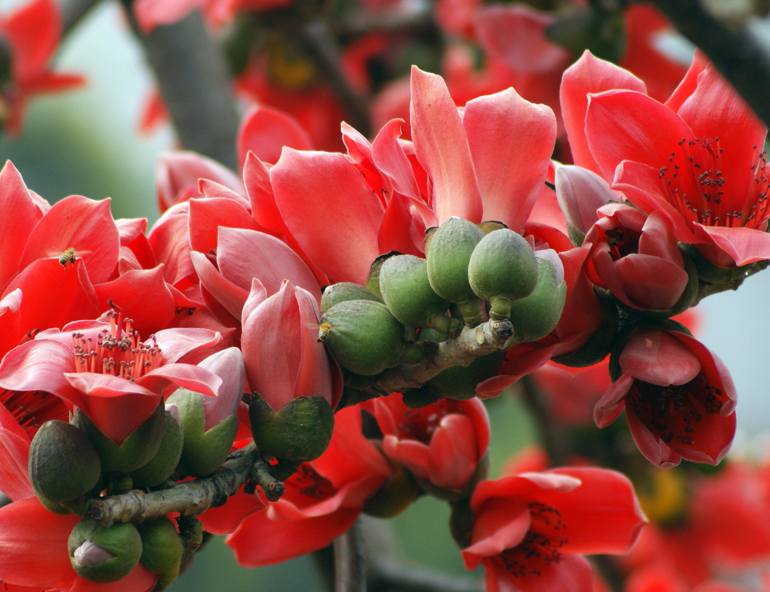 江山多娇三八情韵散文