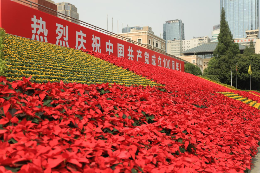 庆祝建党100周年鲜花锦簇扮靓蓉城