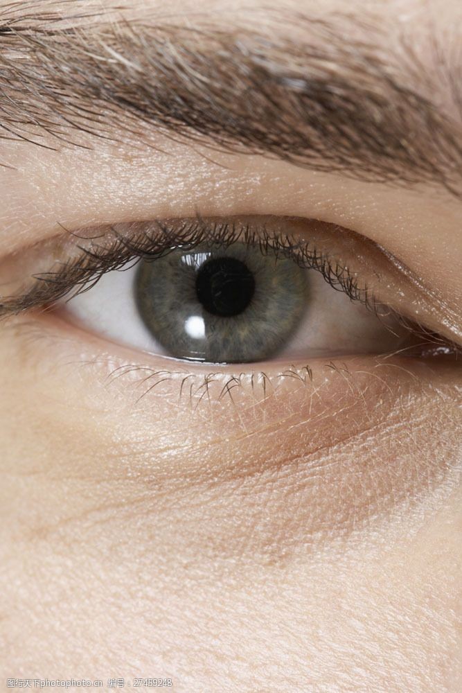 设计图库 高清素材 人物 关键词:外国男性眼睛特写图片素材 男性 健康