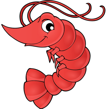 手绘可爱红色大虾