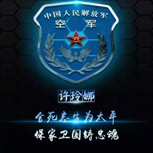 编号432爱国军人空军军徽