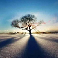 能带来好运日出的微信头像5d钻石画日落diy风景组合圆钻满钻日出n海边