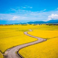 微信头像田园风景麦田_微信头像图片大全