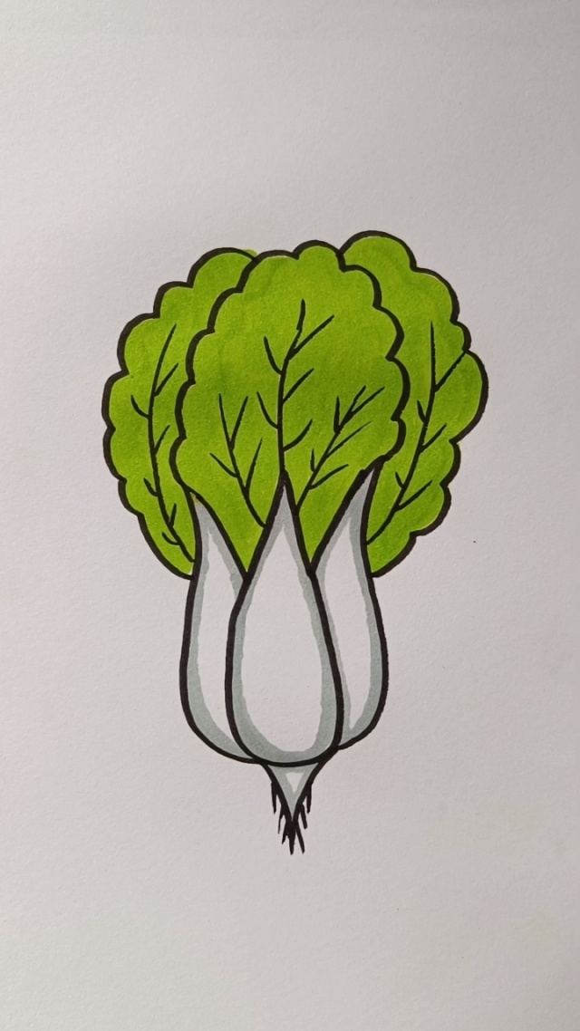 用字母w画小白菜#儿童画 #简笔画 #创意 #亲子陪伴 #一学就会系列