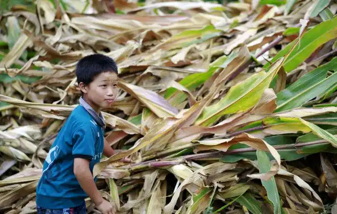 对青少年心理健康教育的六点建议