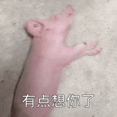 男女暧昧表情包没什么事就是有点想你了