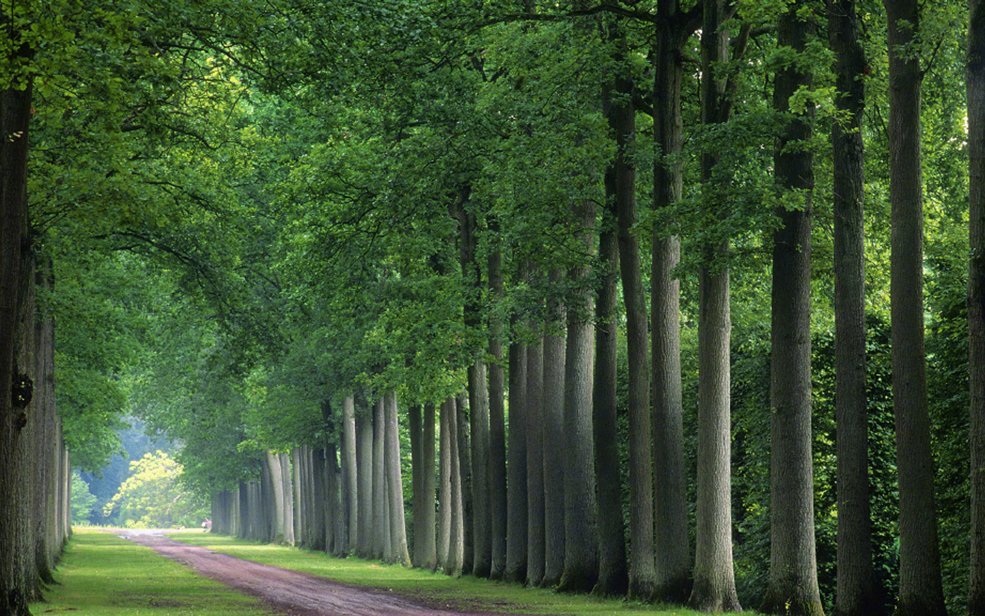 大自然清新美景图片桌面壁纸