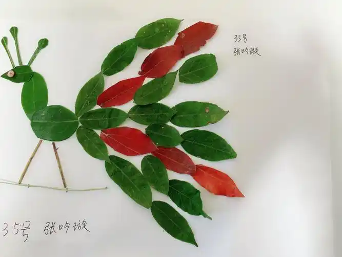 美哒哒的树叶画