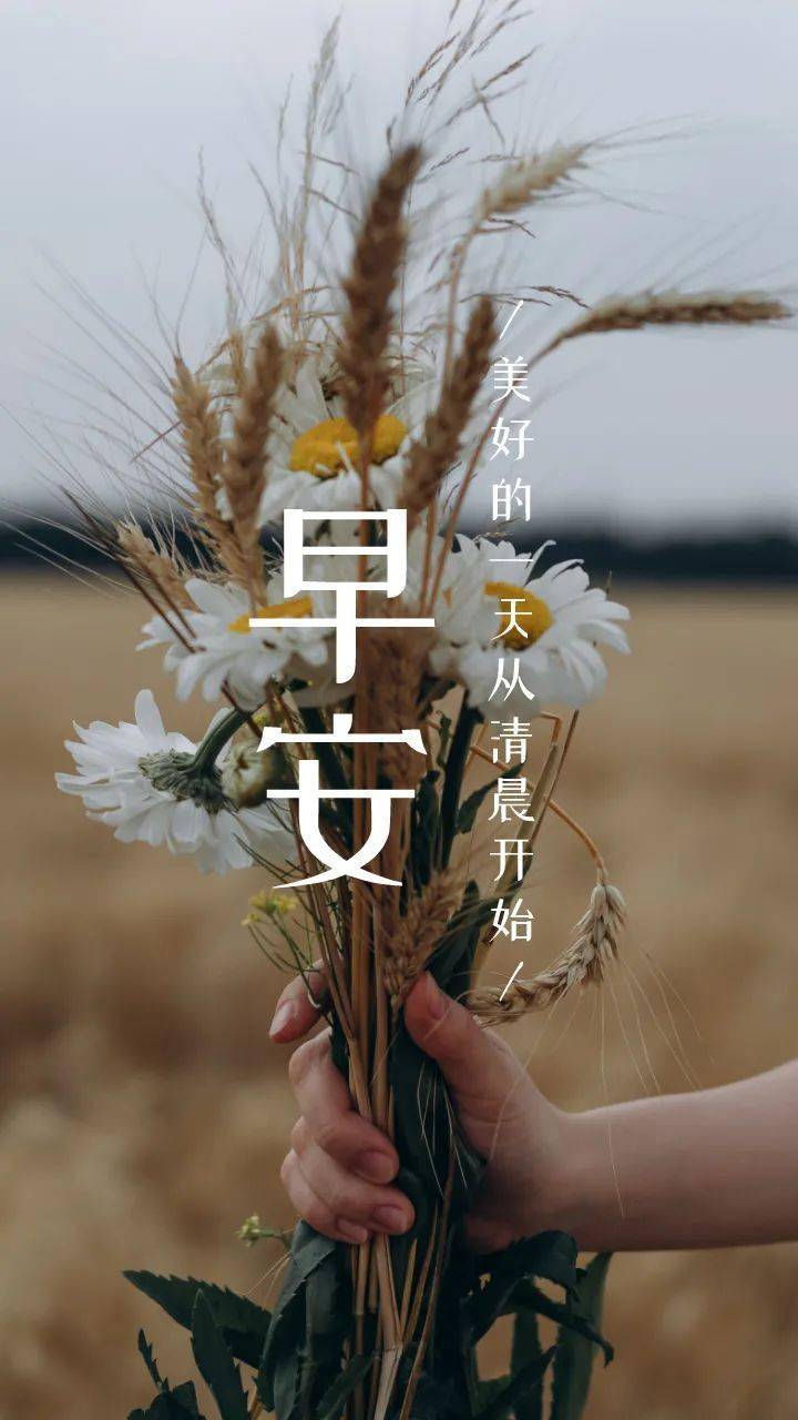 早安物语朋友圈正能量励志图片