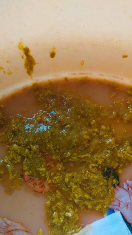 不好意思,虽然有点恶心,但还是需要大家帮我看看这种大便是怎么回事