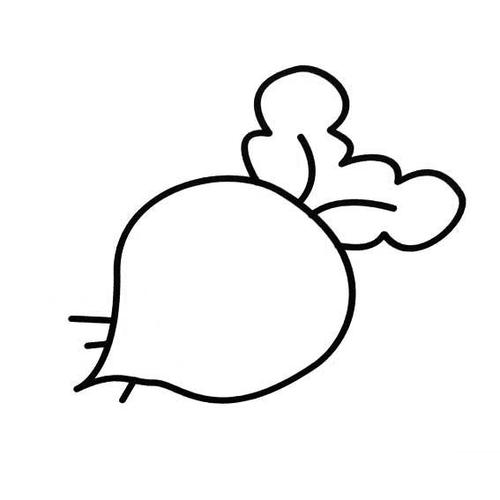 小萝卜简笔画
