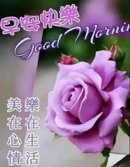 珍惜彼此,让友谊天长地久!早安