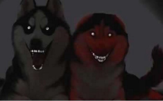 微笑狗是怎回事,真的有那么恐怖吗,吓死人的smilejpg