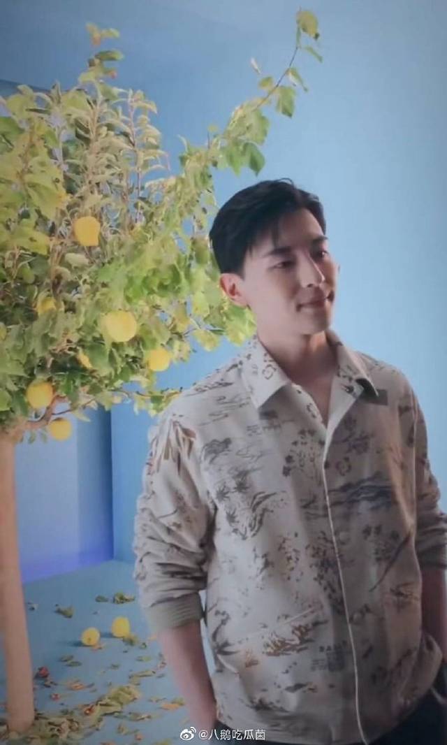 发胖后的邓伦有一种壮实的感觉,体态不像之前那么轻盈了.