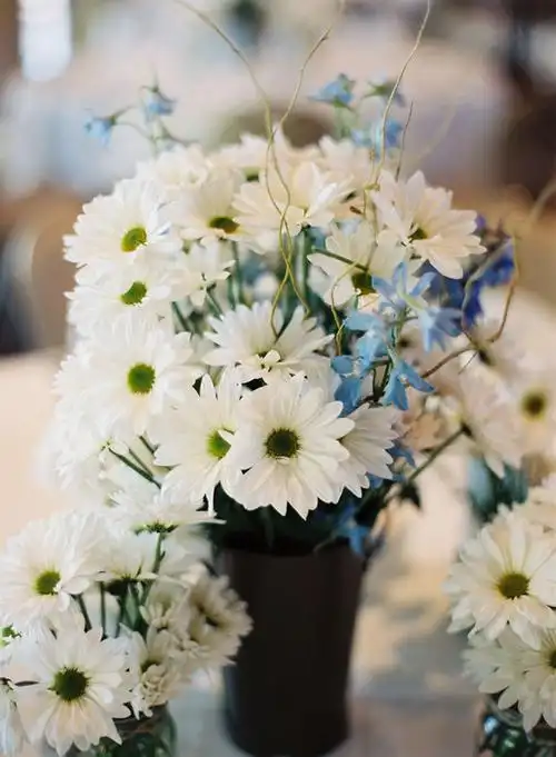 花颜 唯美花卉摄影美图图片 -意境图片-唯美图片大全