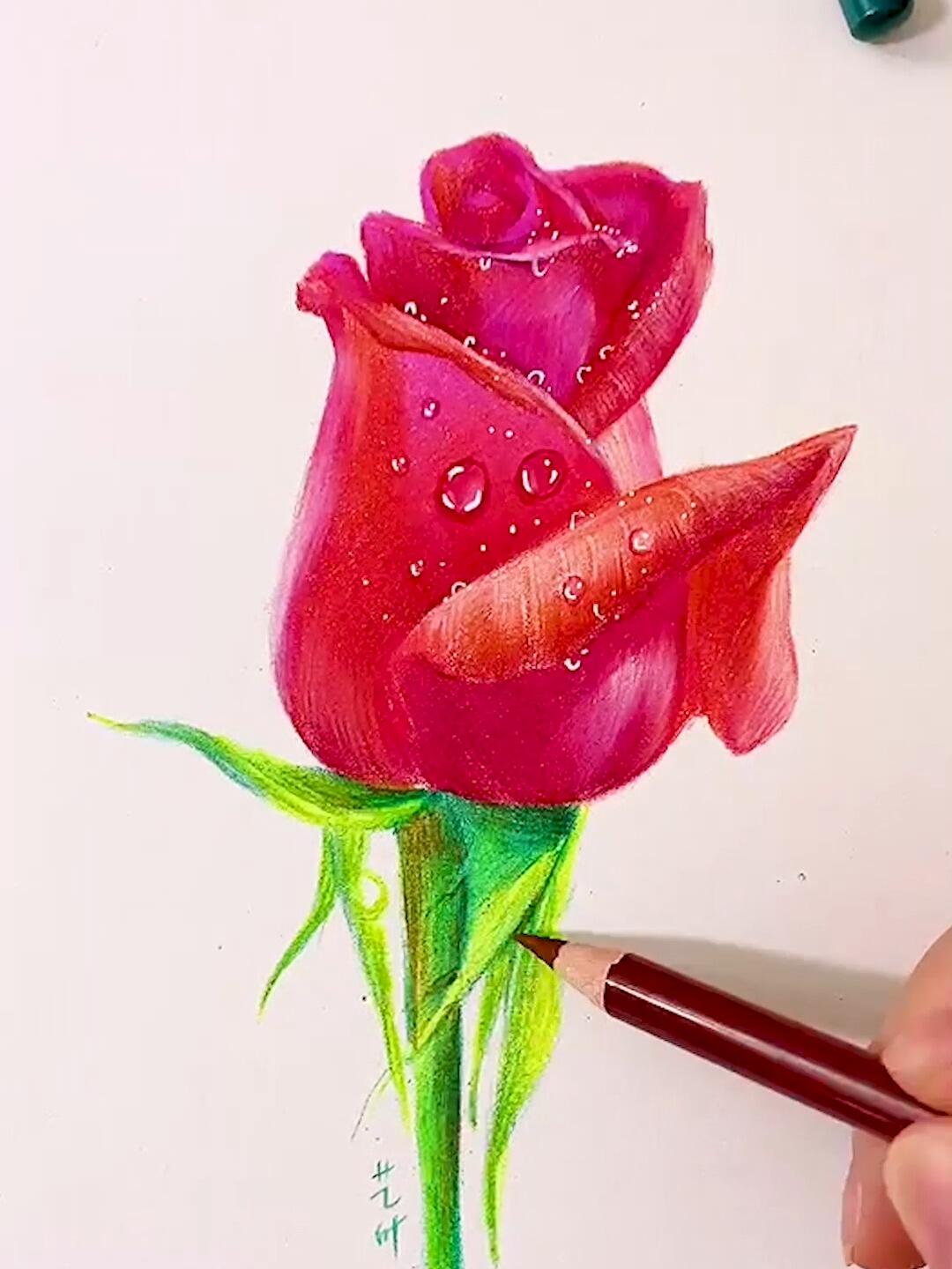 超美的彩铅玫瑰花这没来学就可惜了哦