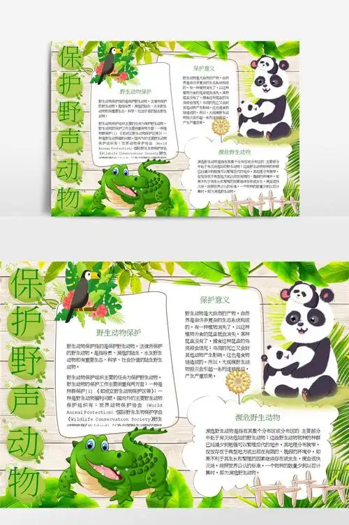 保护野生动物意义小报手抄报模板