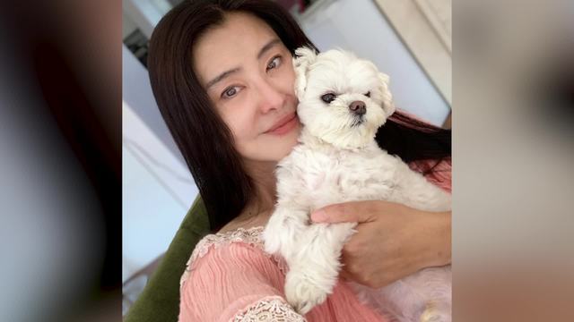 54岁王祖贤大方分享素颜近照 眉眼温柔状态超好-娱乐视频-搜狐视频