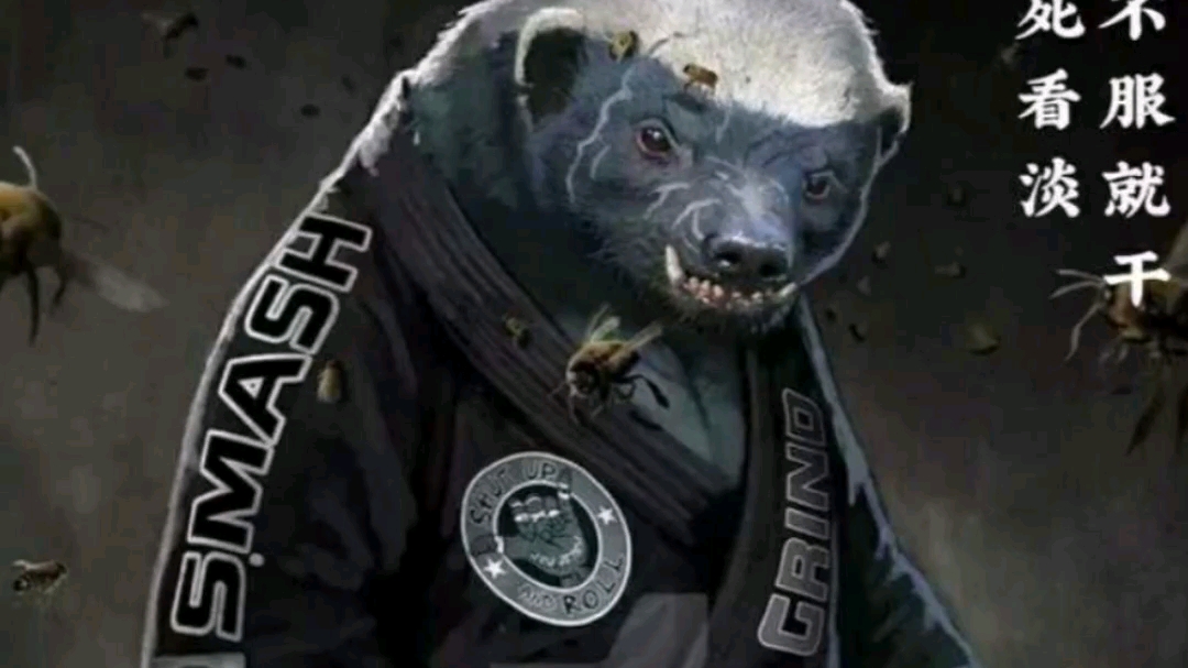 最喜欢的平头哥壁纸来咯