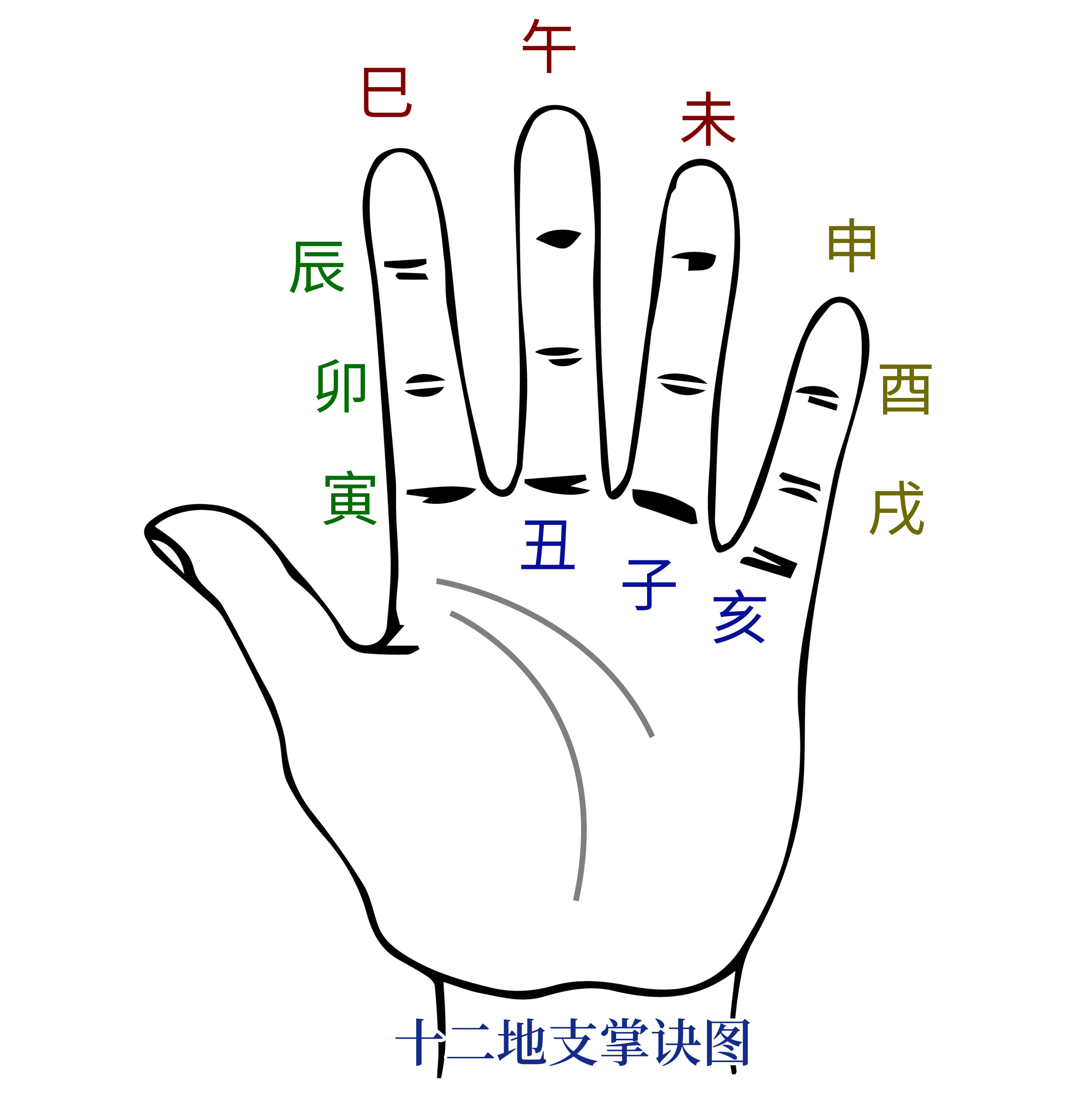 另外记十二地支时,一定要配合掌诀图,因为结合掌诀图各种地支关系记
