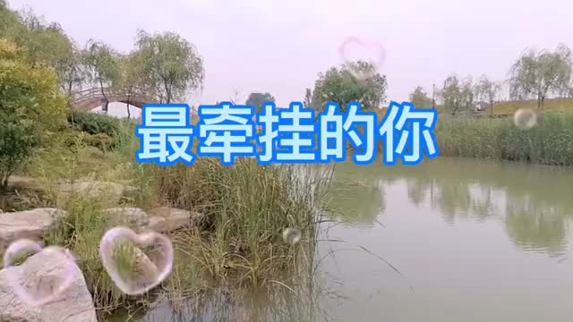 歌曲最牵挂的你远方的你呀还在想我吗我的感情已无法自拔