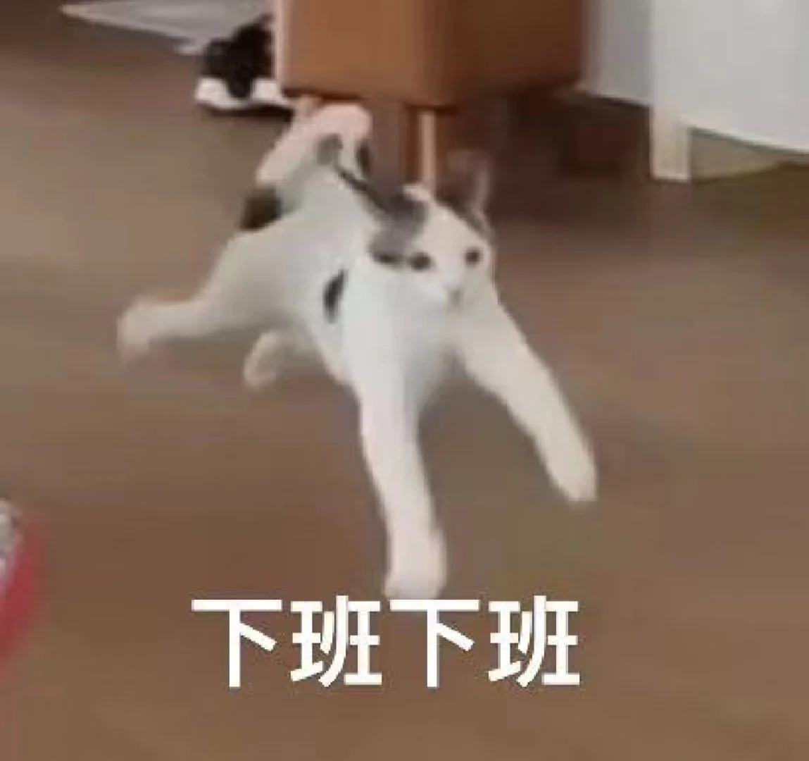而我则会截一些鬼畜表情包#我的猫