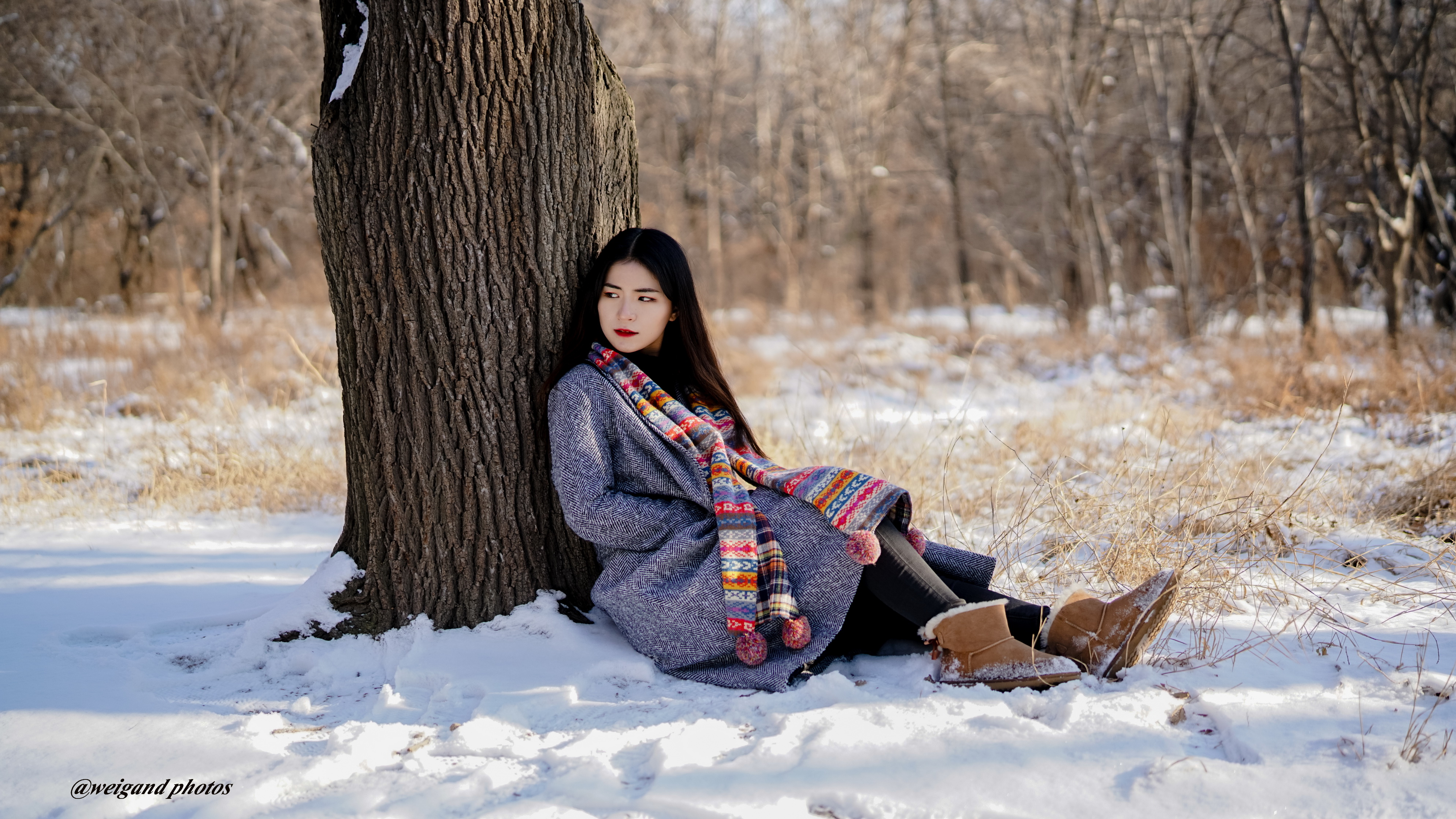 冬季无雪不成景