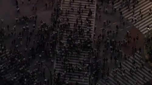 十字路口人山人海的人流_1920x1080_高清视频素材下载(编号:485435)