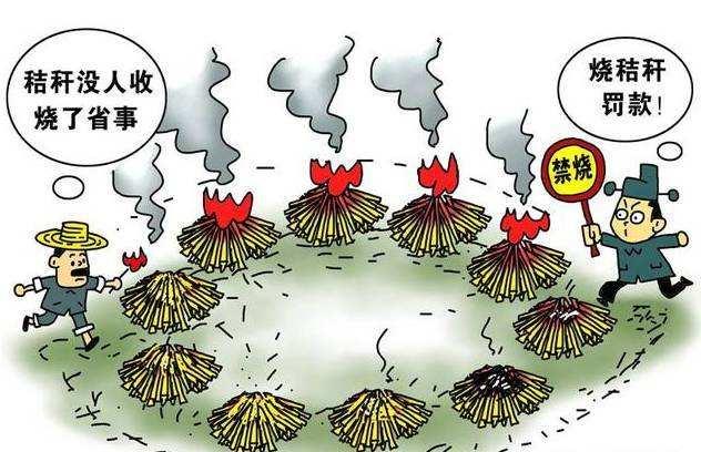 禁养,禁烧等农村五大禁令,真有必要吗?对此您怎么看?