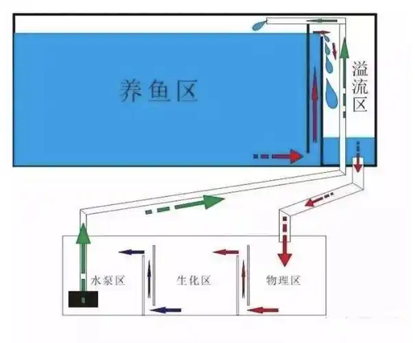 相信每个养鱼人都希望自己有一个超强过滤系统的底滤鱼缸.