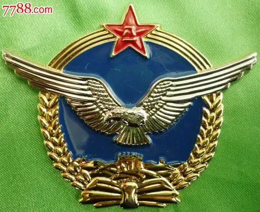 空军章_价格60.0000元_第1张_7788收藏__中国收藏热线