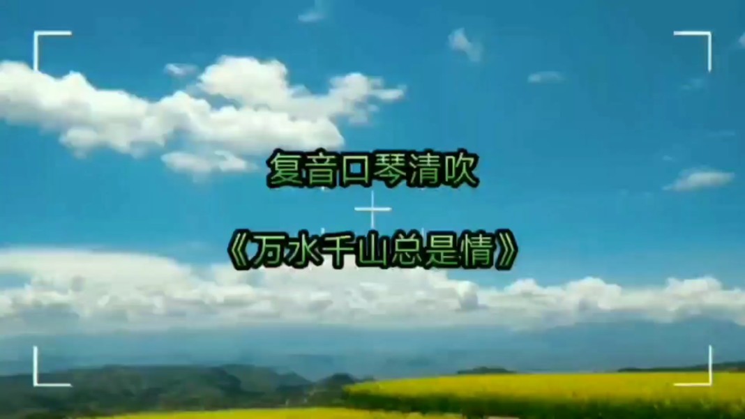 口琴清吹《万水千山总是情》~使用铃木16孔c调复音口琴