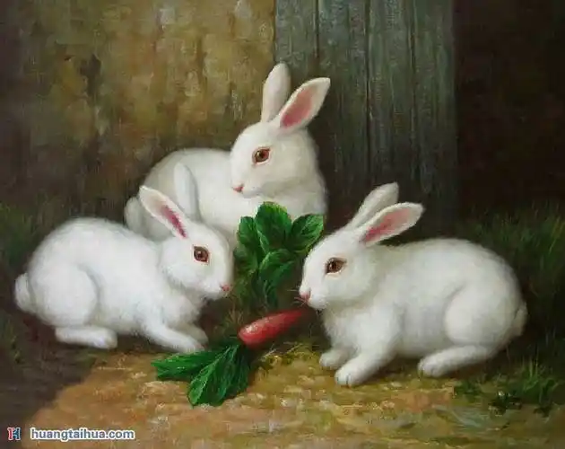 白兔,吃萝卜的小白兔,侏儒海棠兔,兔子油画图片