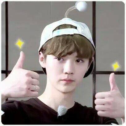 鹿晗真人表情包成全球亿万人民斗图首选