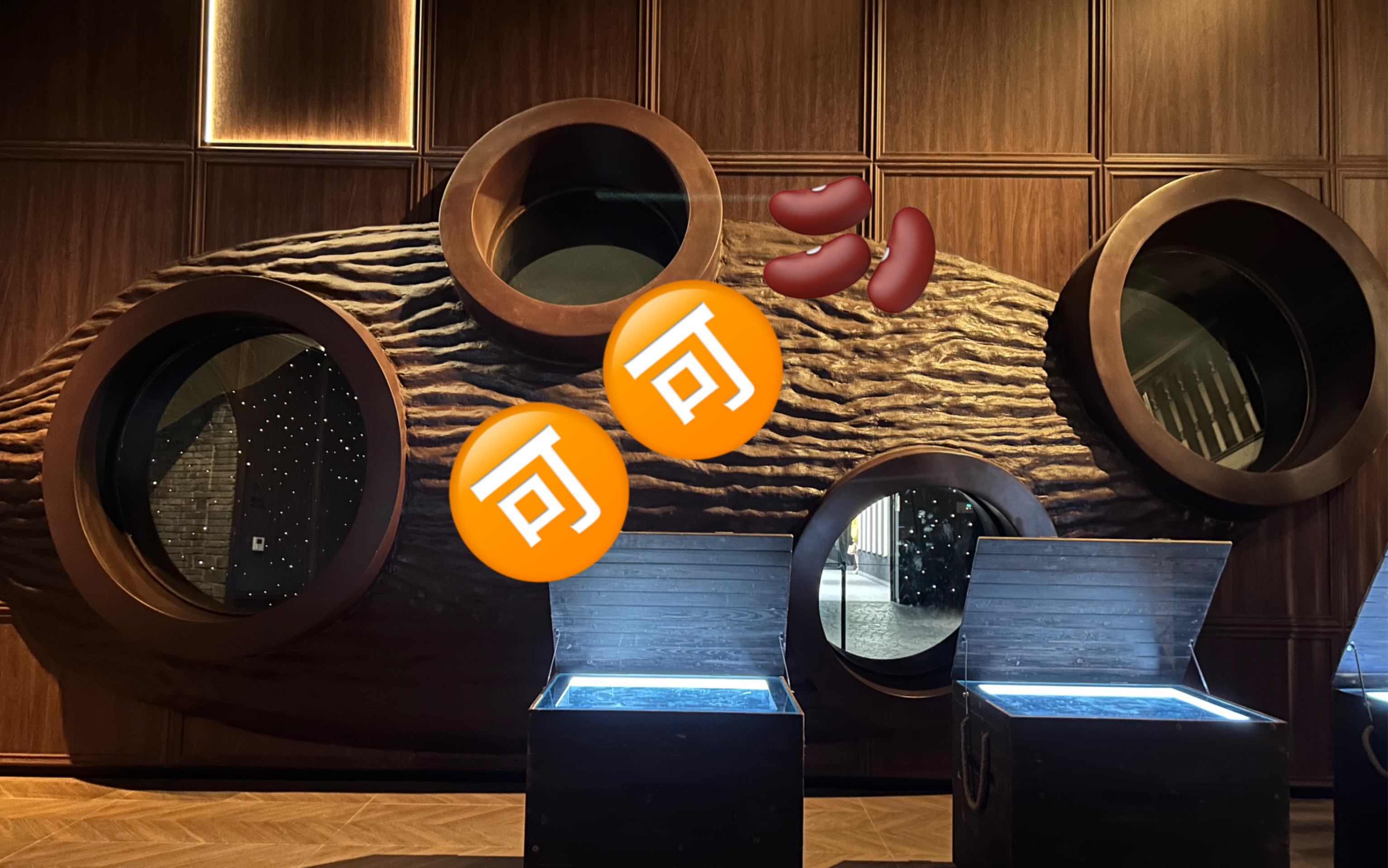 巧克力厂是不能参观的但巧克力博物馆可以