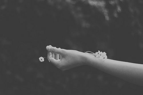 有关手的唯美图片大全2