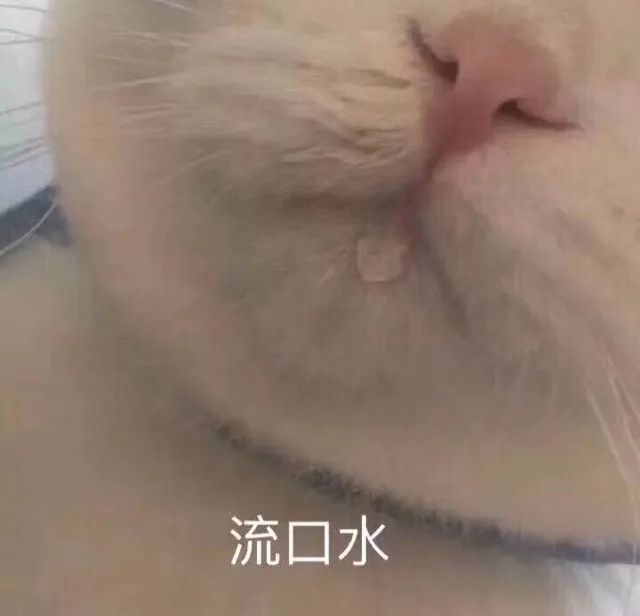 流口水猫猫表情包67