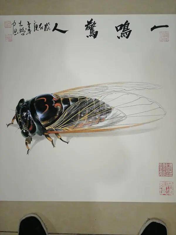 陈大鹏画蝉 丨中国画蝉第一人,涉笔成趣,跃然纸上.-新媒在线