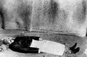 张作霖被炸死后,他的子女妻子们都去哪了?结局如何?