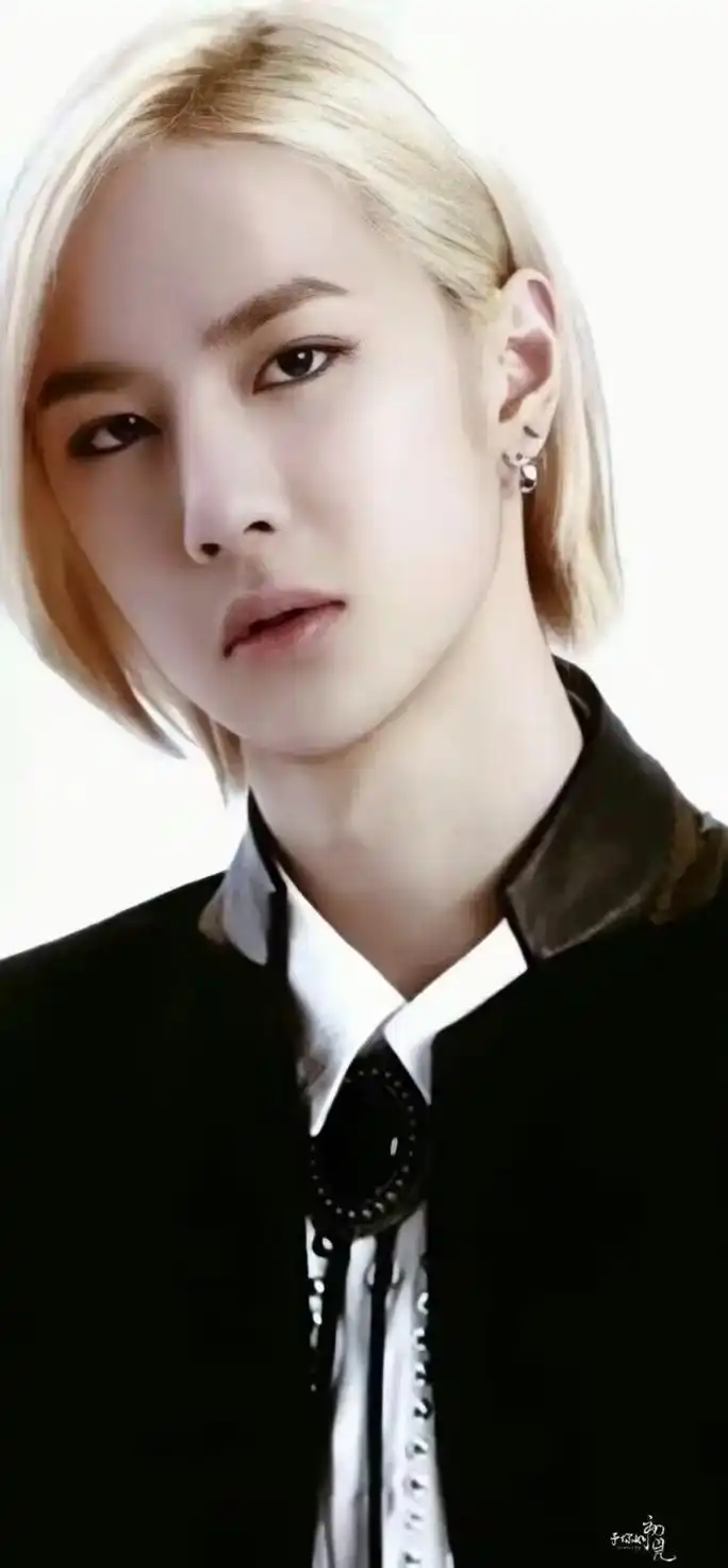 丹丹(洛阳白牡丹)我的王一博 深知成人世界游戏规则 却依旧保 - 抖音