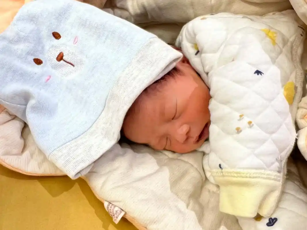 虎宝宝 #双胞胎兄弟 #人类幼崽 你们出生已 - 抖音