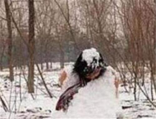 源自真实案件,当事人系化名;参考来源:搜狐网---2008年东北肢体雪人案