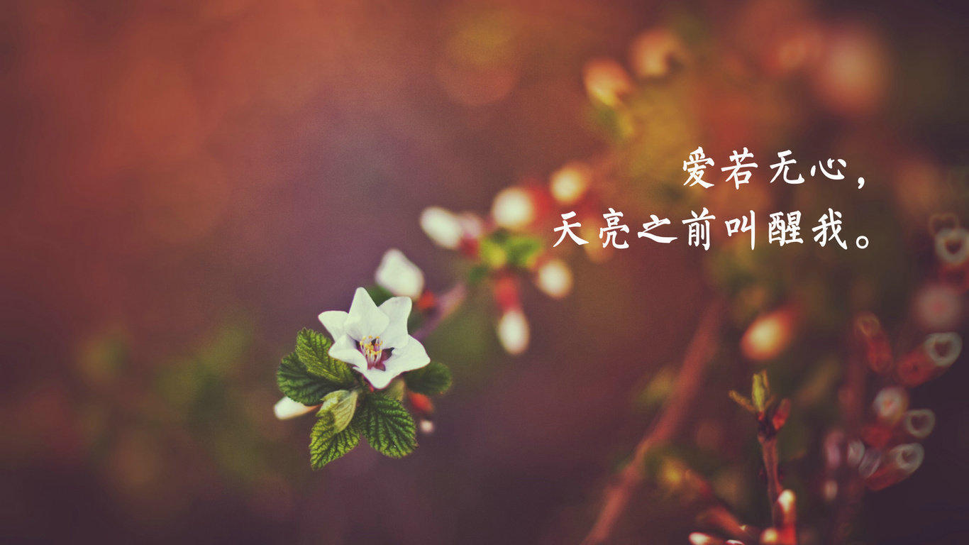 感人至深的文字意境图片桌面壁纸,充满哲理的人生感悟,唯美又戳心的