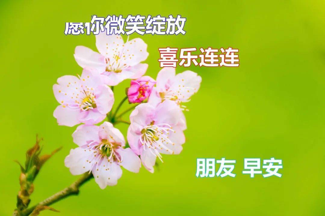 今天最新早上好问候语图片_信息_友谊_将心
