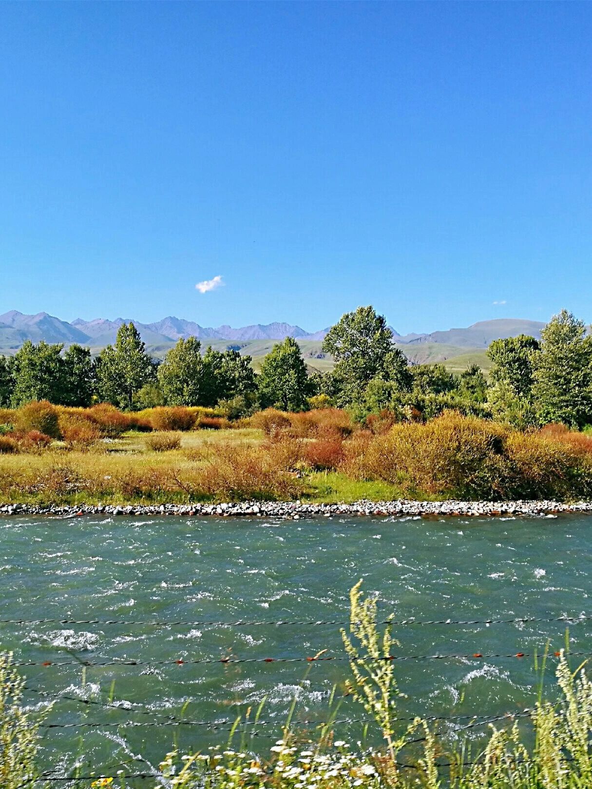 错过那拉提,就错过新疆一半的美 那拉提草原是世界四大亚高山草甸植物