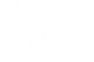 白底图片(白底图片纯白)_竞价网